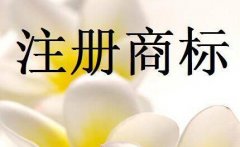 海外注冊商標有什么方法技巧?